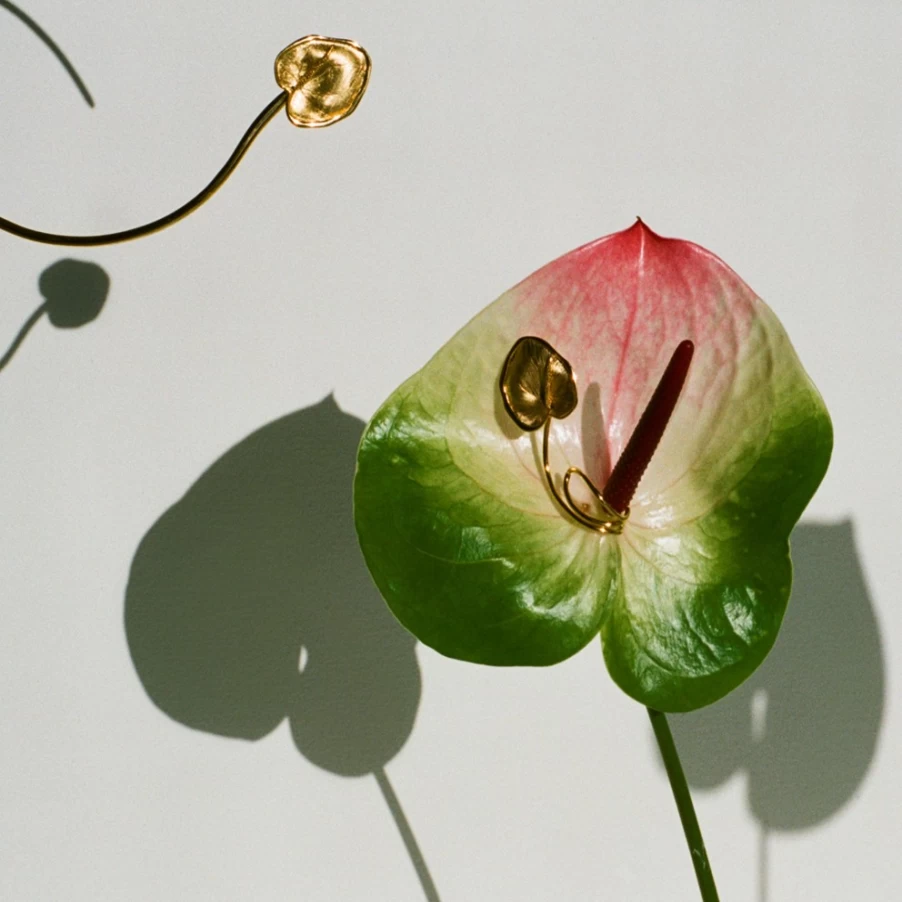 Anissa Kermiche Late Bloomer Earrings for Women - Unique Floral Design Stud Earrings